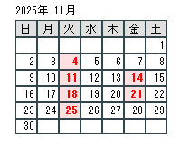 202511