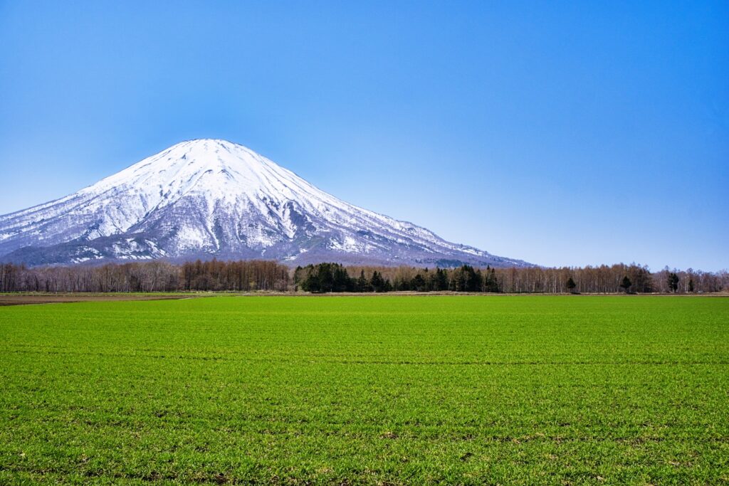 冬休み